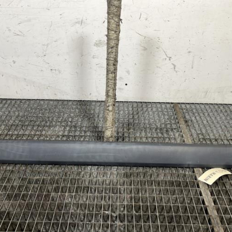 Baguette de porte avant gauche RENAULT KANGOO 2 Photo n°1