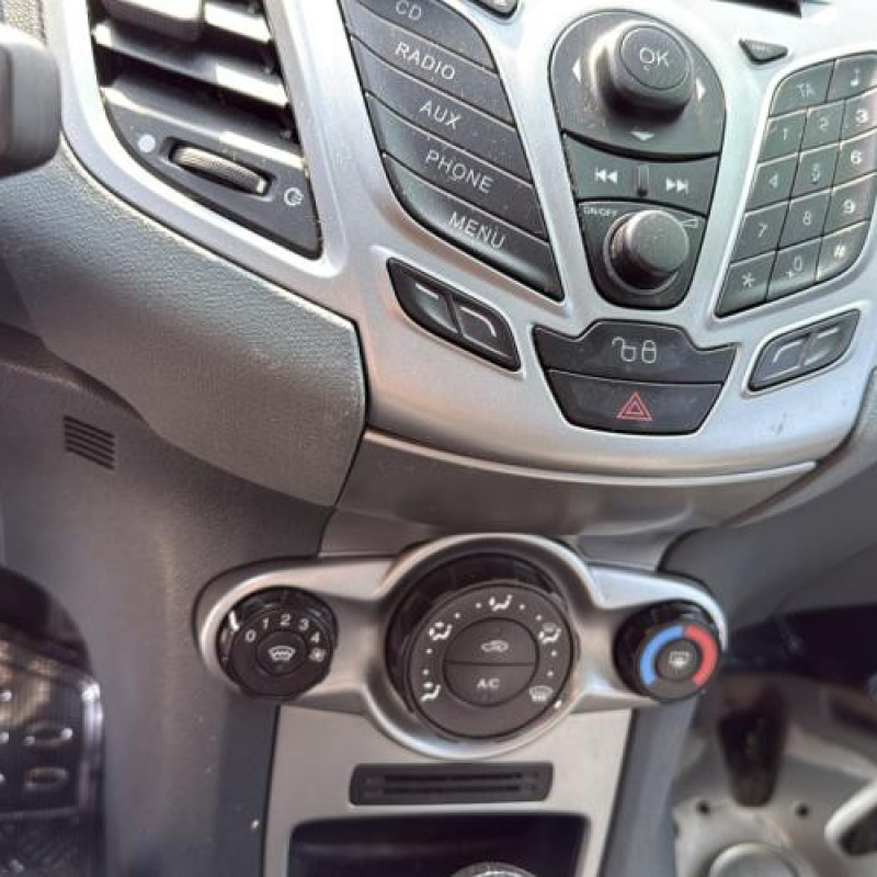 Porte avant droit FORD FIESTA 6 Photo n°16