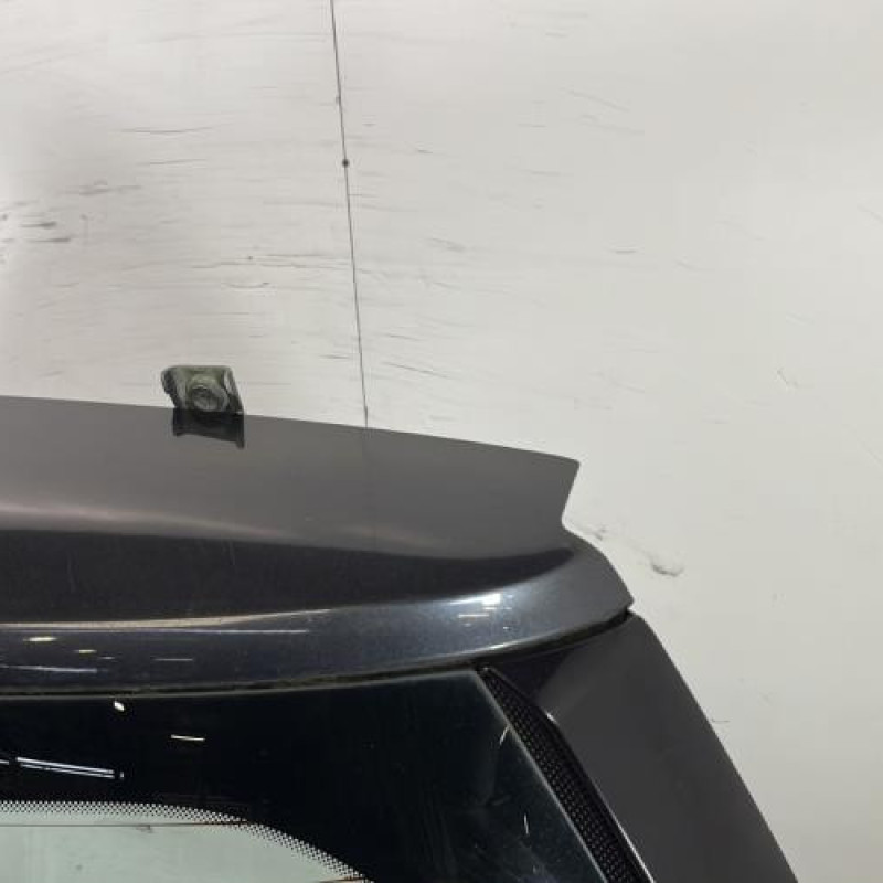 Malle/Hayon arriere RENAULT SCENIC 2 Photo n°3