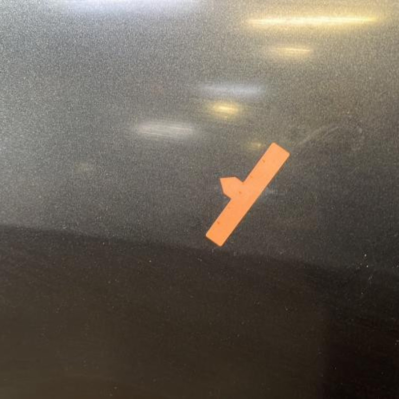 Porte arriere gauche RENAULT SCENIC 2 Photo n°2