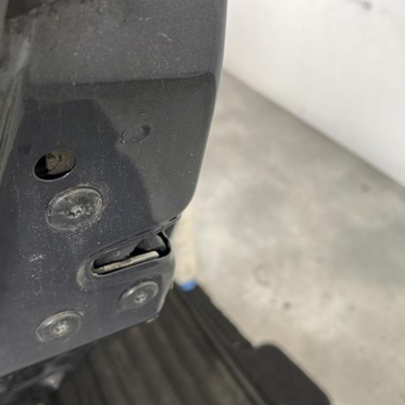 Porte arriere gauche RENAULT SCENIC 2 Photo n°4