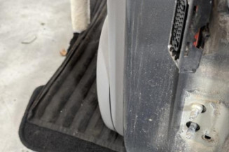 Porte arriere gauche RENAULT SCENIC 2