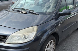 Porte arriere gauche RENAULT SCENIC 2
