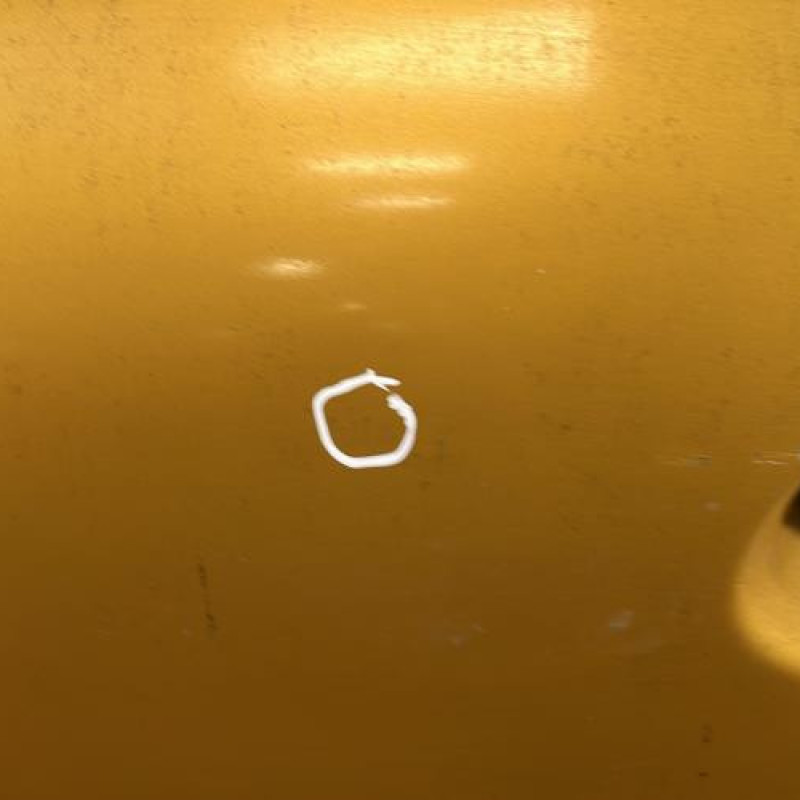 Porte avant gauche RENAULT CLIO 2 Photo n°4