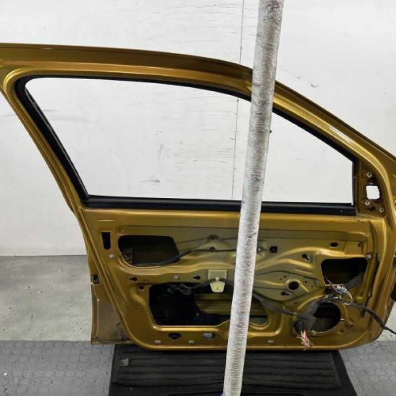 Porte avant gauche RENAULT CLIO 2 Photo n°8