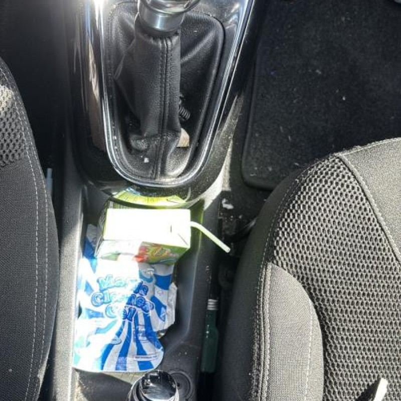 Poignee porte avant droit CITROEN DS3 Photo n°13