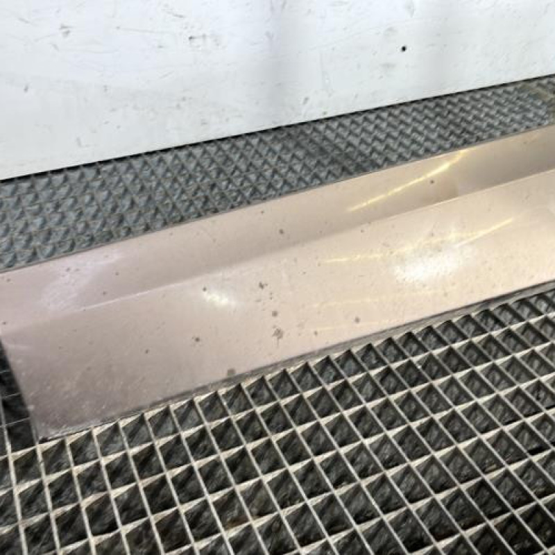 Baguette de porte avant gauche RENAULT SCENIC 3 Photo n°2