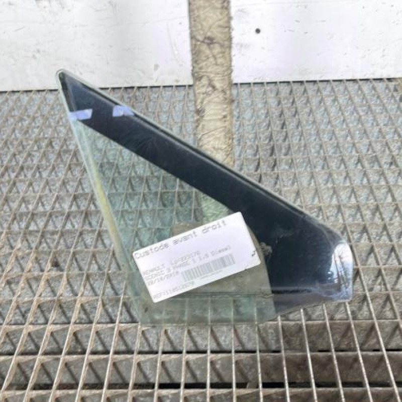 Custode avant droit (porte) RENAULT SCENIC 3 Photo n°1