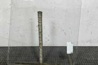 Vitre avant droit RENAULT TRAFIC 1