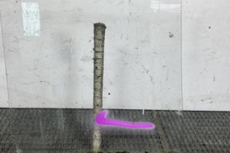 Vitre avant gauche RENAULT TRAFIC 1