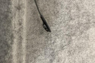 Plage arriere FIAT PUNTO 1 Photo n°1