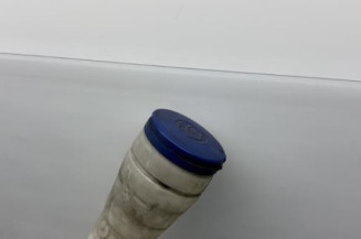 Vase de lave glace PEUGEOT 307