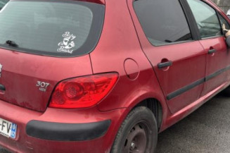 Vase de lave glace PEUGEOT 307