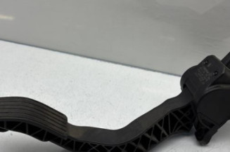 Pedale d'accelerateur PEUGEOT 207 Photo n°1