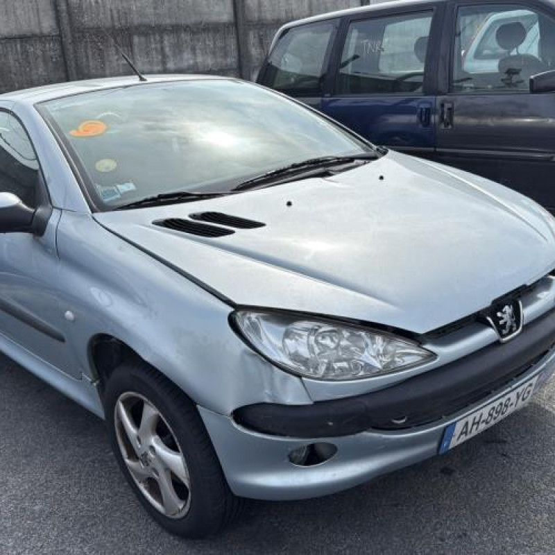 Porte avant droit PEUGEOT 206 Photo n°9