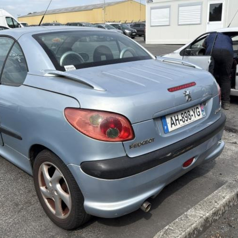 Porte avant droit PEUGEOT 206 Photo n°11