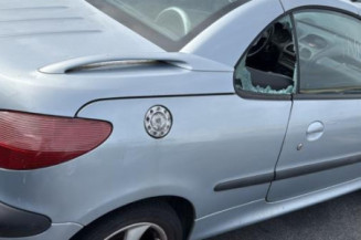 Porte avant droit PEUGEOT 206