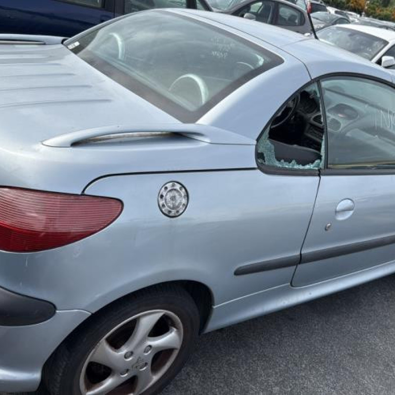 Porte avant droit PEUGEOT 206 Photo n°13