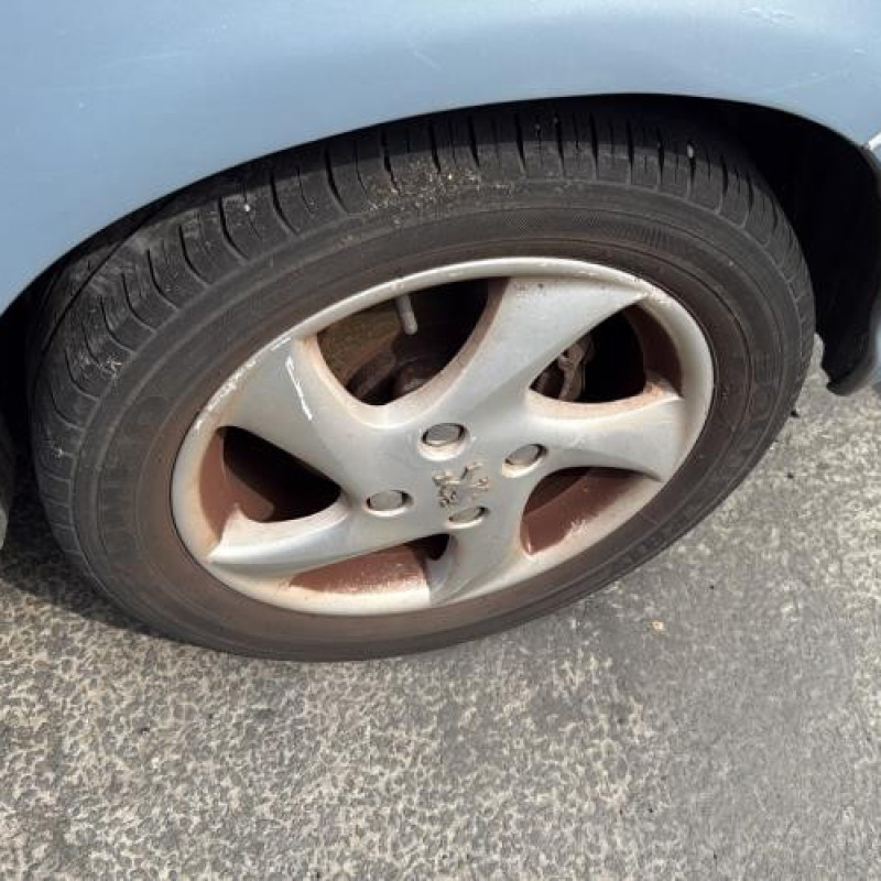 Porte avant droit PEUGEOT 206 Photo n°16