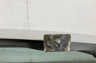 Malle/Hayon arriere CITROEN C3 1