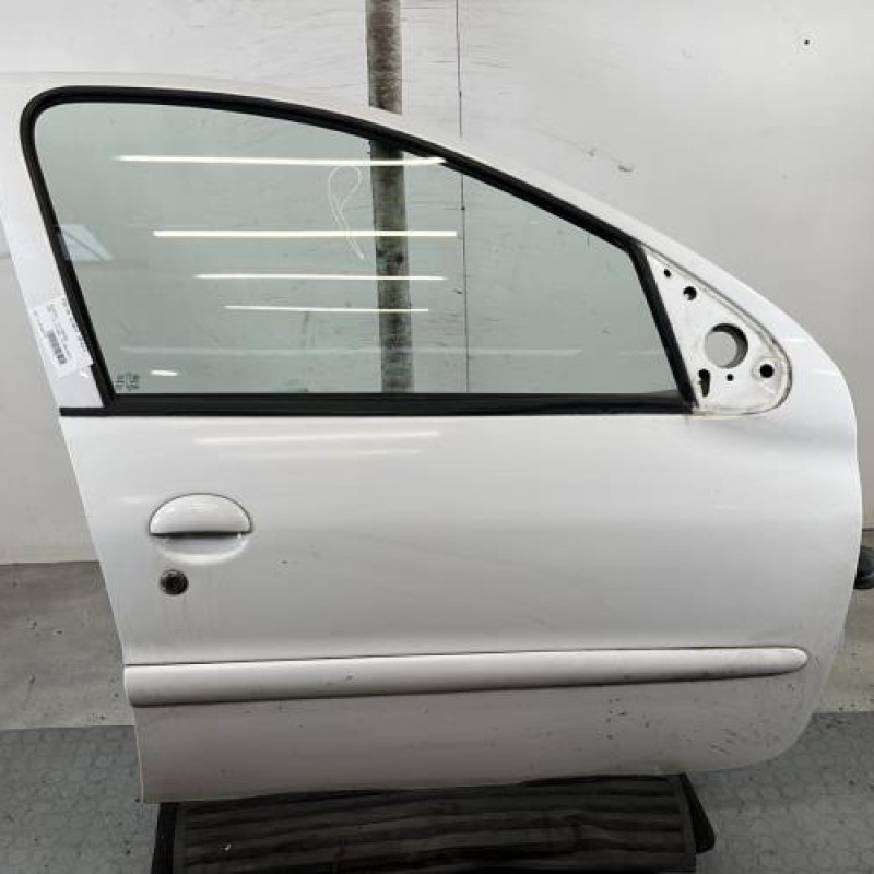 Porte avant droit PEUGEOT 206+ Photo n°1