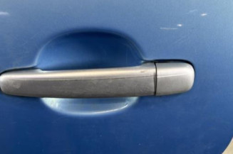 Porte arriere gauche CITROEN C3 1
