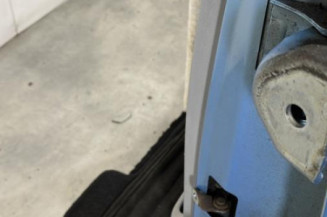 Porte arriere gauche CITROEN C3 1