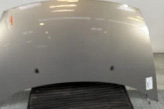 Capot CITROEN C3 1 Photo n°1