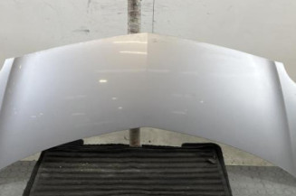 Capot RENAULT GRAND MODUS Photo n°1