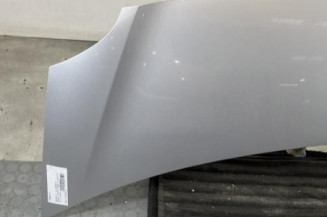 Capot RENAULT GRAND MODUS