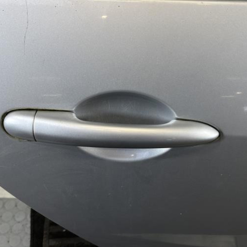 Porte arriere droit RENAULT GRAND MODUS Photo n°2