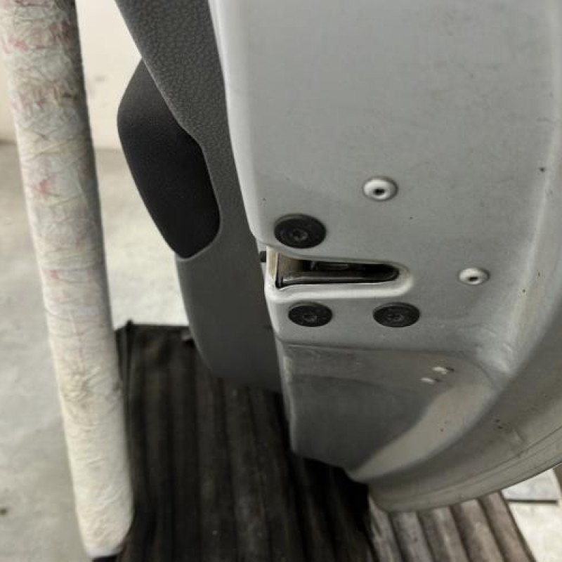 Porte arriere droit RENAULT GRAND MODUS Photo n°3