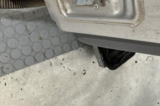 Porte arriere droit RENAULT GRAND MODUS