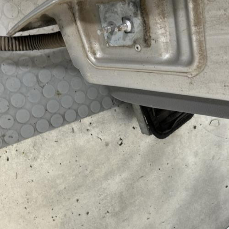 Porte arriere droit RENAULT GRAND MODUS Photo n°5