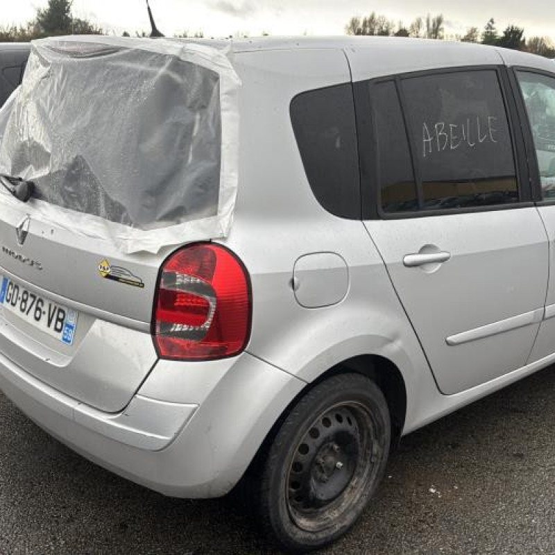 Porte arriere droit RENAULT GRAND MODUS Photo n°9