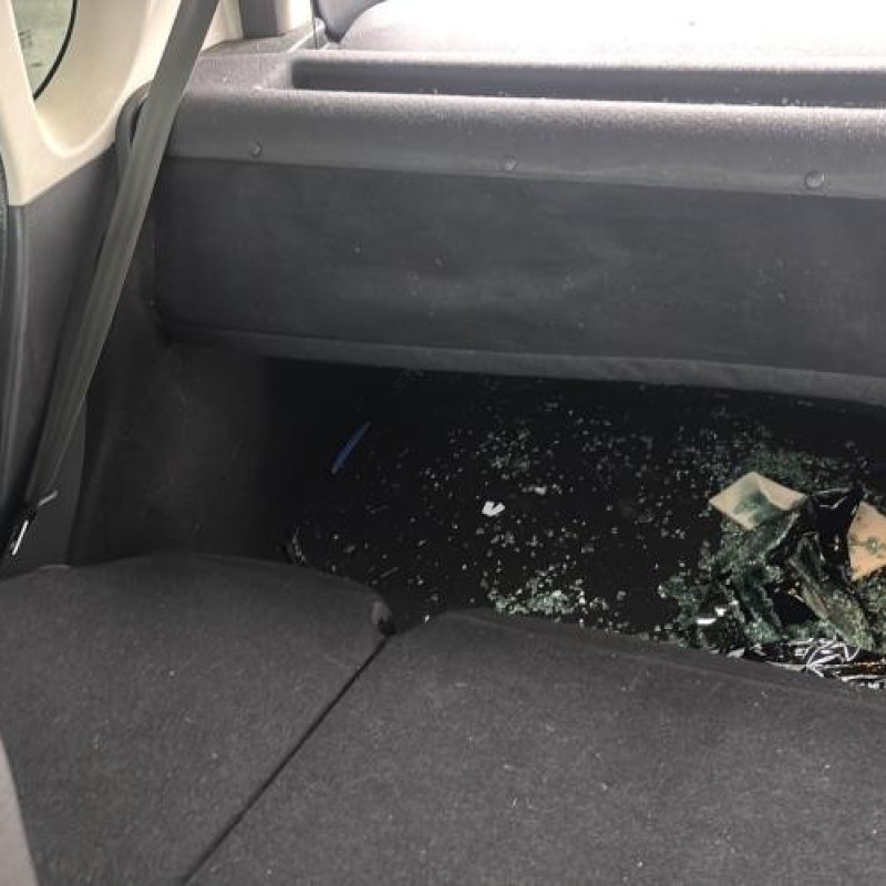 Porte arriere droit RENAULT GRAND MODUS Photo n°18