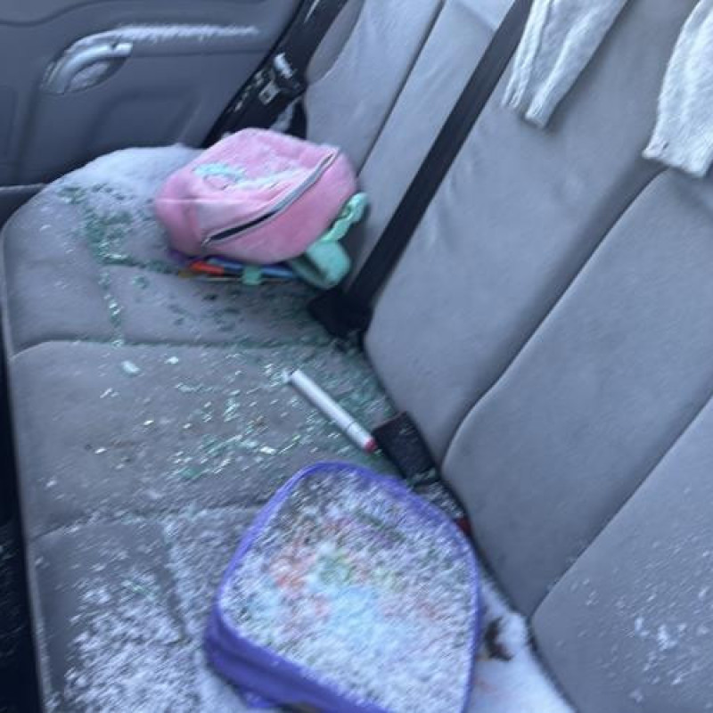 Aile avant gauche CITROEN C3 1 Photo n°18