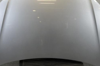 Capot VOLKSWAGEN POLO 4 Photo n°1