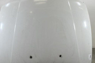 Capot BMW SERIE 1 E81 Photo n°1