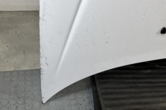 Capot PEUGEOT 206