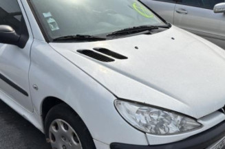 Capot PEUGEOT 206