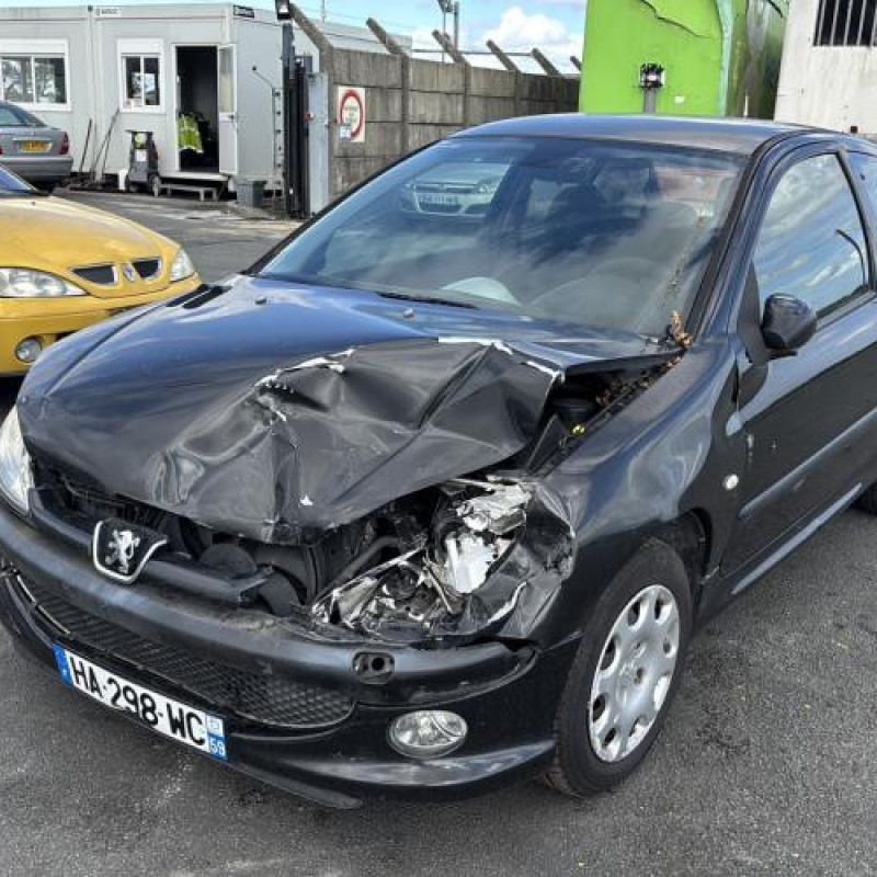 Porte avant droit PEUGEOT 206 Photo n°8