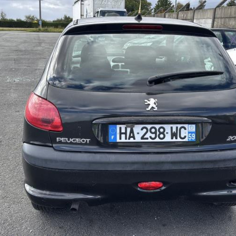 Porte avant droit PEUGEOT 206 Photo n°12