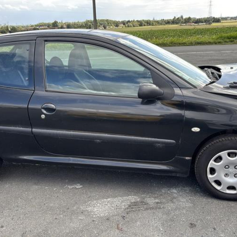Porte avant droit PEUGEOT 206 Photo n°14