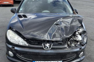 Porte avant droit PEUGEOT 206