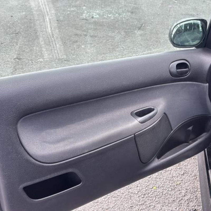 Porte avant droit PEUGEOT 206 Photo n°16