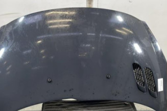 Capot PEUGEOT 206+ Photo n°1