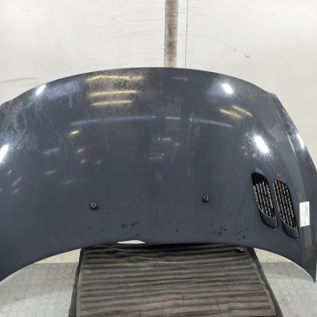 Capot PEUGEOT 206+ Photo n°1