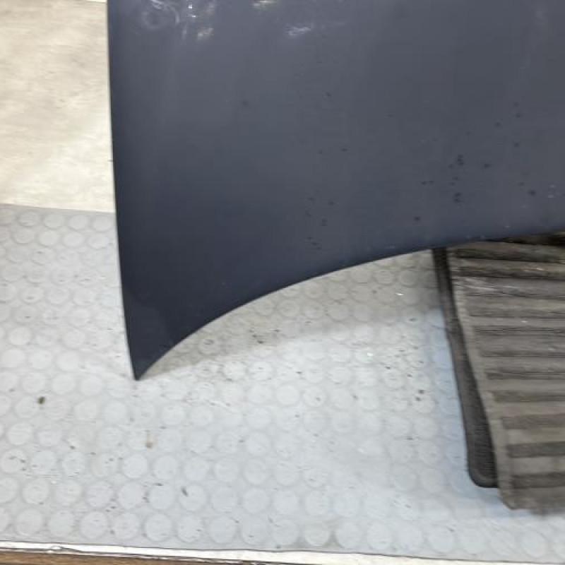 Capot PEUGEOT 206+ Photo n°5