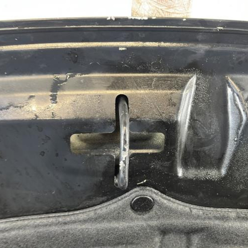 Capot PEUGEOT 206+ Photo n°6